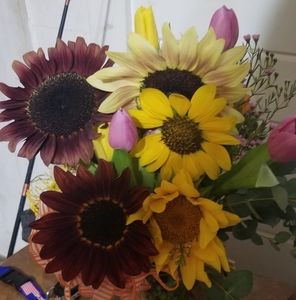 Meet your Posher, Tanya